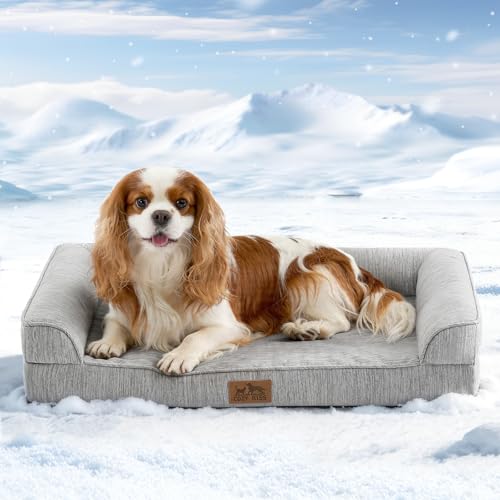 Cooling Dog Bed, Orthopedic Foam Dog Bed with Sides, Removable Washable Cover & Waterproof Lining and Nonskid Bottom, Comfortable Pet Beds for Small Dogs, Grey (30" L x 20" W x 6" Th)