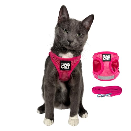 Travel Cat Harness and Leash Set
