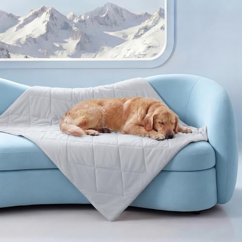 Luciphia Premium Cooling Blanket (Light Grey)