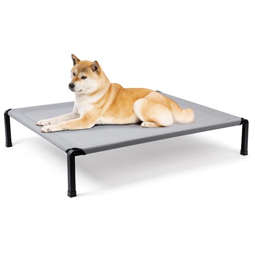 Heeyoo Elevated Dog Bed (Chew-Proof)