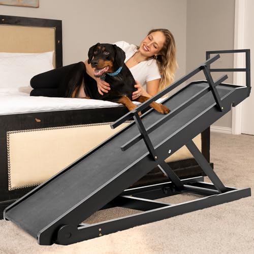 ABORON Folding Ramp, 63"