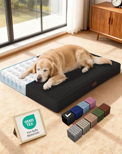 OhGeni Orthopedic Waterproof & Machine Washable Dog Bed for Medium Large Pets, Cat Mat with 25D Egg Crate Foam, Non-Slip Bottom & Removable Cover, 36 Inches(Black)