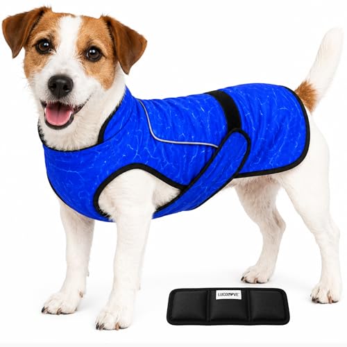 LUCOLOVE Dog Cooling Vest (Small)