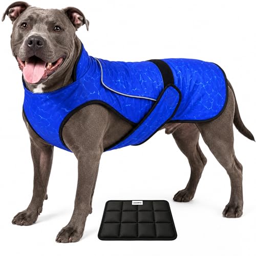 LUCOLOVE Cooling Vest (Large)