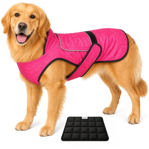 LUCOLOVE Dog Cooling Vest (Pink Floral, X-Large)
