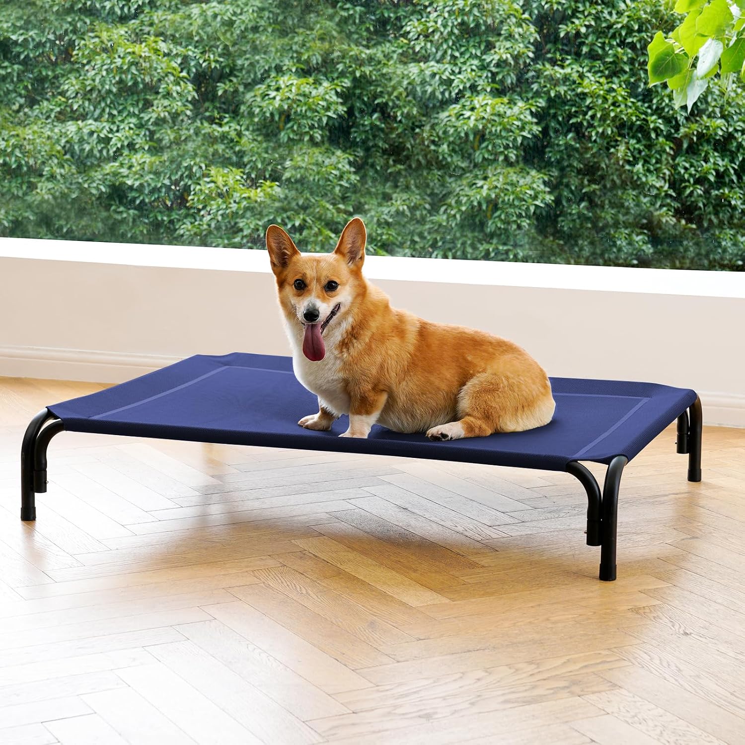 DOPEDIO Elevated Dog Bed (Blue)