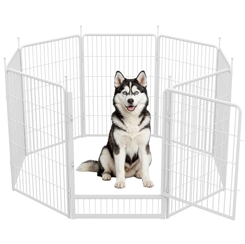 Complete Fall Park Playpen Setup for Large Dogs: Shade, Anchors & Mats (2026 Guide)