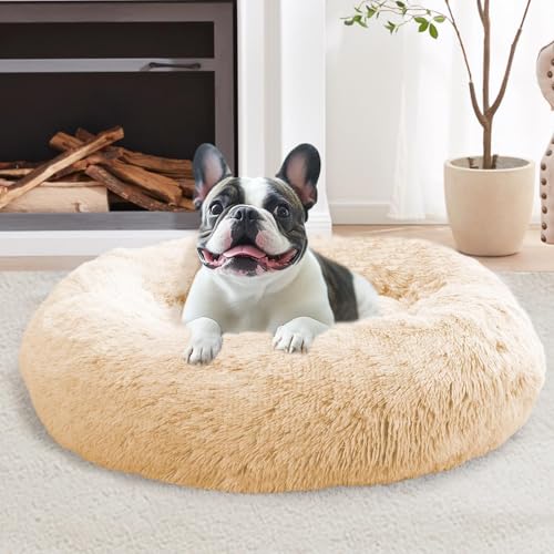 JOLLYVOGUE Donut Bed (Budget)