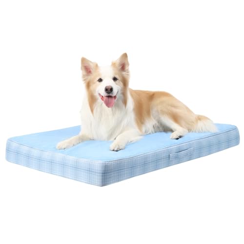 Best Replacement Dog Bed Covers & How to Measure (2026)