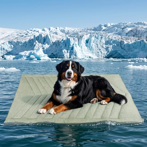 UIQELYS Cooling Mat 150x102cm (C)