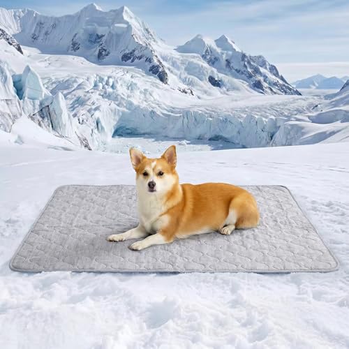 Cozy Bliss 30x40 Cooling Blanket