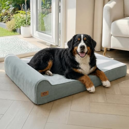 Sytopia 50"x34"x10" (Light Blue)