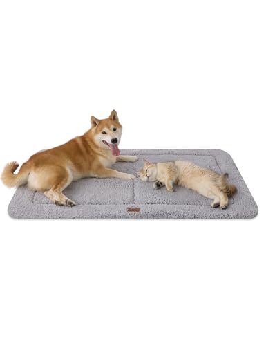 Best Dog Beds for Apartment Living (Compact & Non-Shedding Options) (2026)