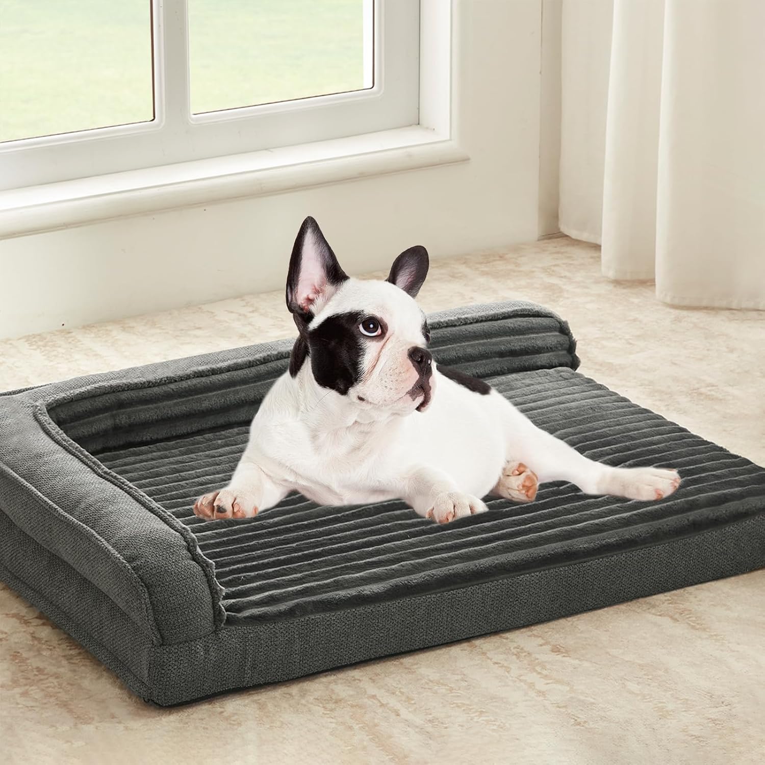 Packable vs Pop-Up vs Inflatable Dog Beds: Best Travel Option (2026)
