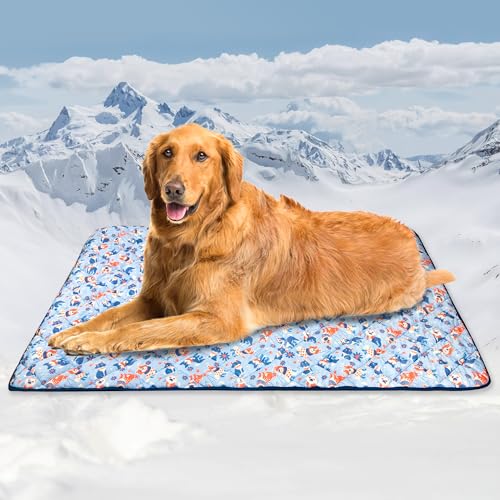 Tuiskusa Premium Cooling Blanket