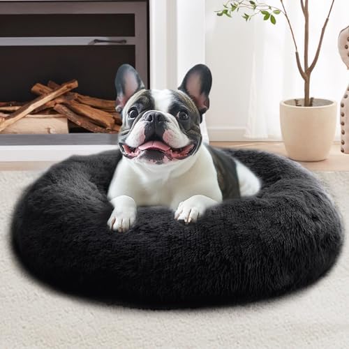 JOLLYVOGUE Medium Calming Bed (31")