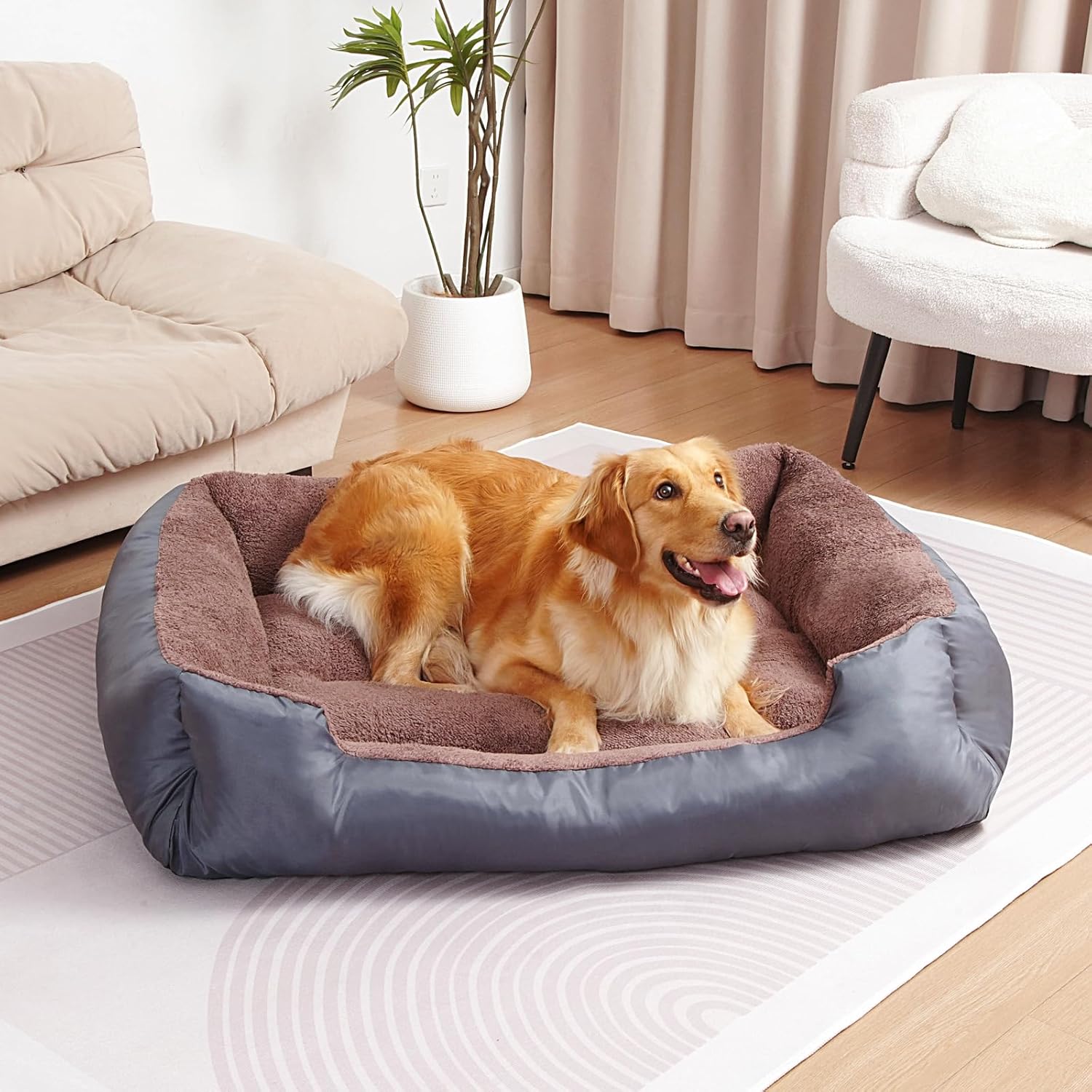 Best Elevated Dog Bed Mats for Porches & Decks (2026)