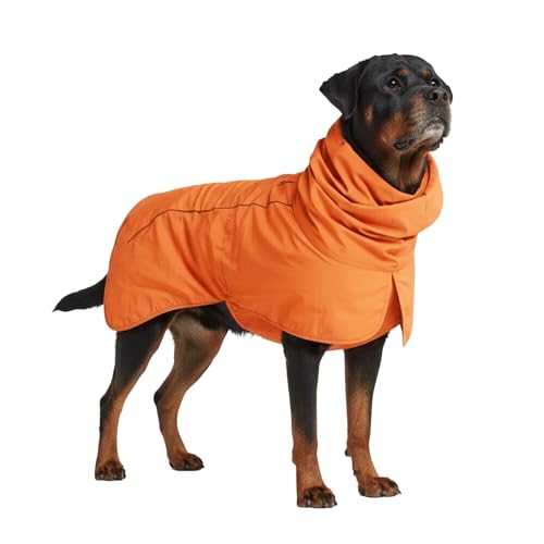 Spark Paws Dog Raincoat, Orange - 4XL