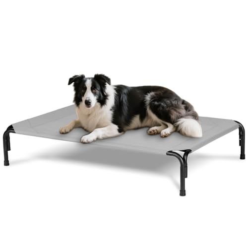 PVY 41" Training Cot