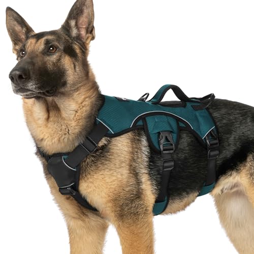 rabbitgoo Escape Proof Dog Harness, Soft Padded Full Body Pet Harness, Reflective Adjustable No Pull Vest with Lift Handle and Leash Clip for Large Dogs Walking Hiking Training, Dark Green, XL