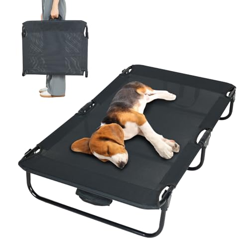 everfront Elevated Dog Bed (Medium)