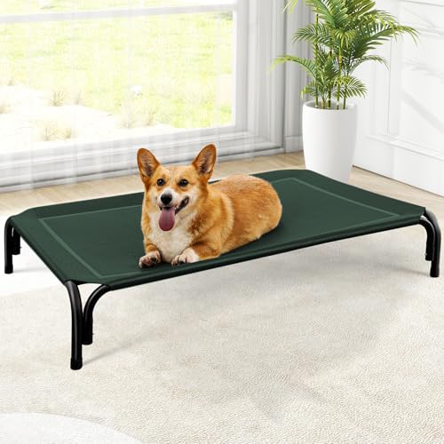 Czpalo Elevated Dog Bed (Budget)