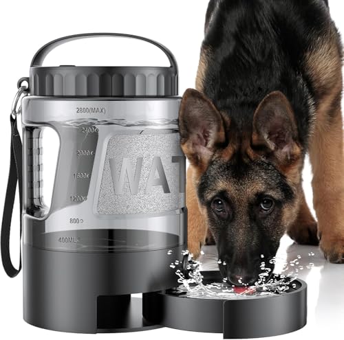 Best Portable Dog Hydration Kits for Long Hikes (2026)