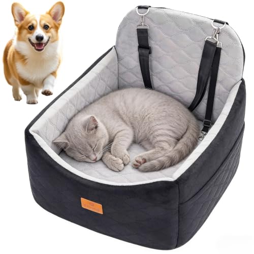 Ztinng Elevated Dog Car Booster Seat