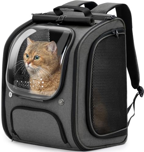 Pecute Cat Bubble Backpack (Gray)