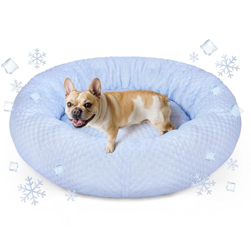 Foamio Donut Bed