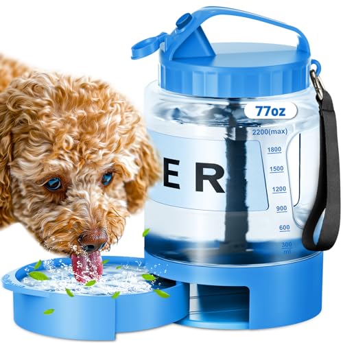 SwSun 77oz Travel Water Dispenser