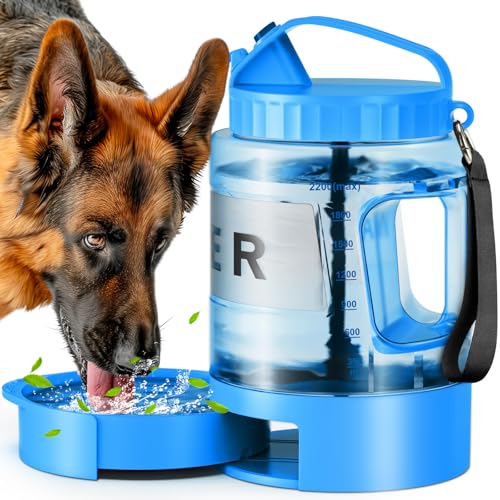 SwSun 77oz Leak-Proof Bottle