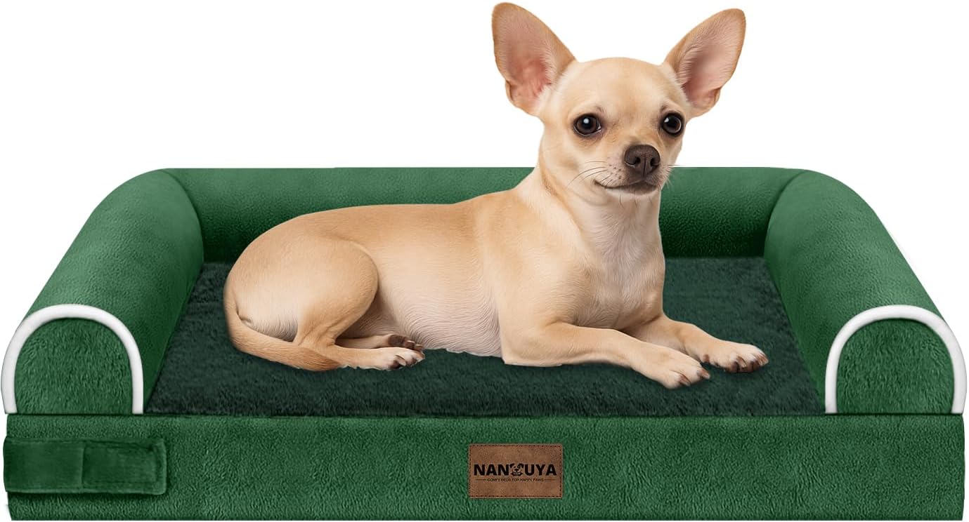 Small Dog Bed Orthopedic Washable: Beds Bolster Small Sized Dogs Bed Egg Crate Foam Couch Sofa Waterproof with Removable Cover - Emerald