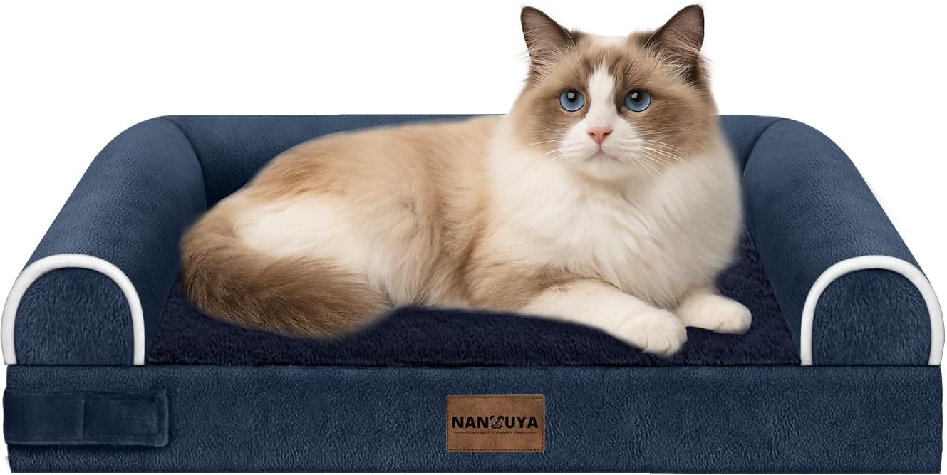 How to Keep Senior Dog Beds Supportive: Maintenance & Replacement Tips (2026)