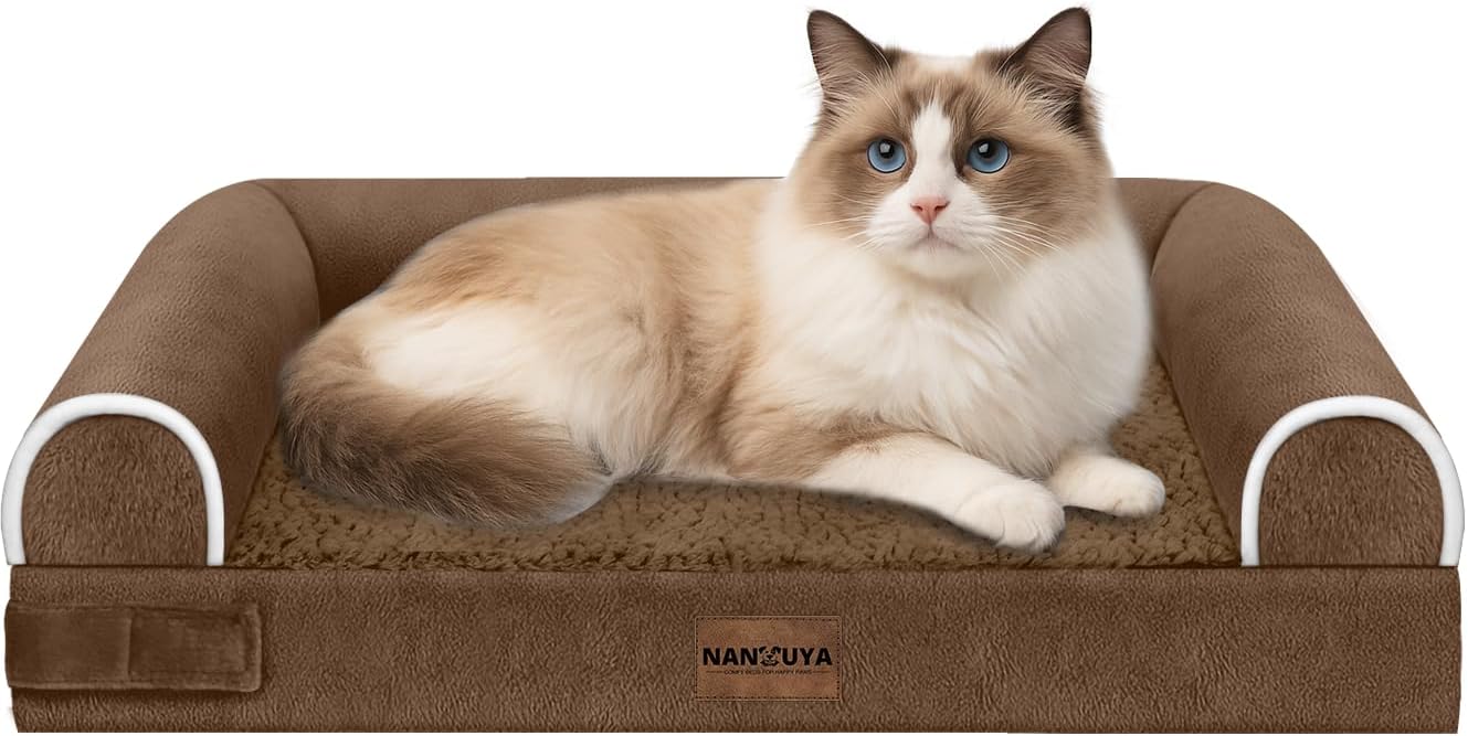 Small Dog Bed Orthopedic Washable: Beds Bolster Small Sized Dogs Cats Bed Egg Crate Foam Couch Sofa Waterproof with Removable Cover - Dark Coffee