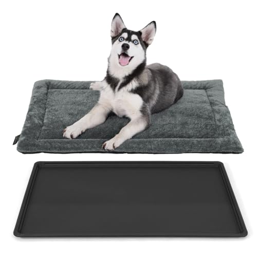 BOWHAUS Crate Pad & Tray