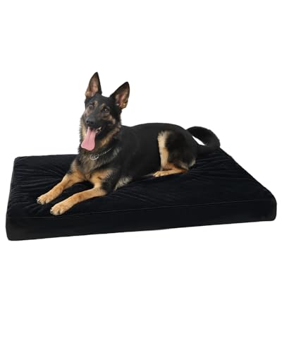 KSIIA Orthopedic Dog Bed (41x27)