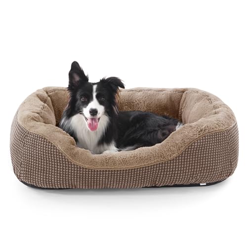 INVENHO Orthopedic Plush Bed (Medium)