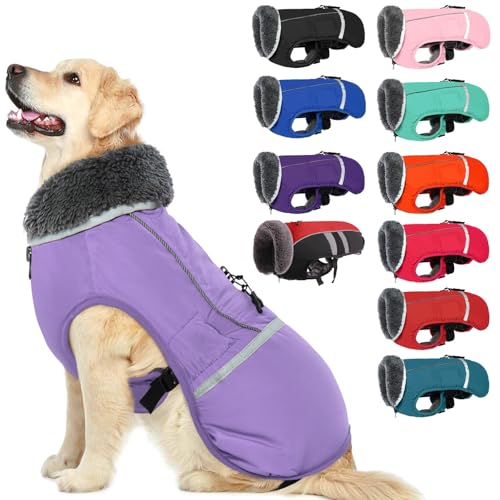 QBLEEV Warm Dog Coat (Premium)
