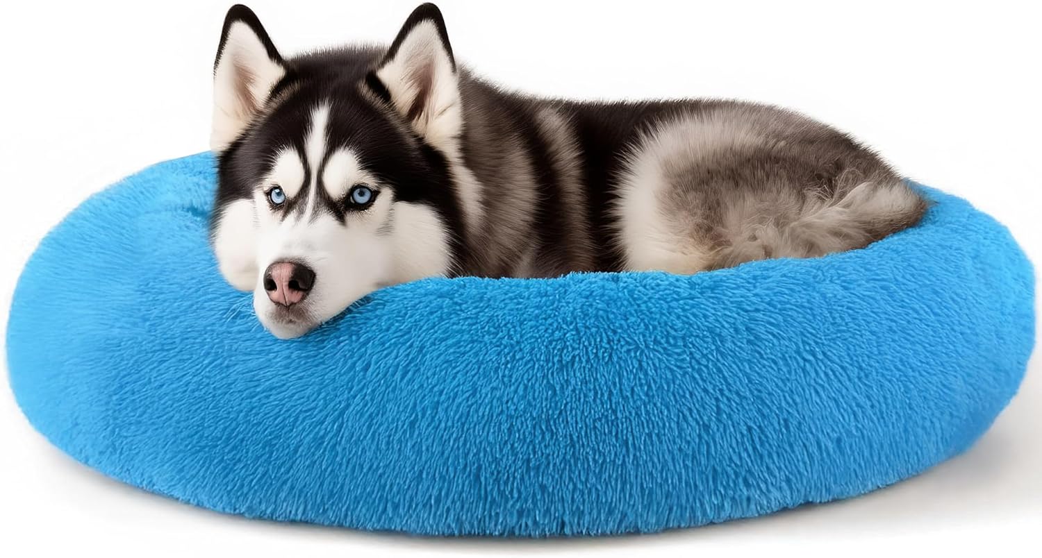 How to Choose a Dog Bed for Multi-Dog Households (2026)