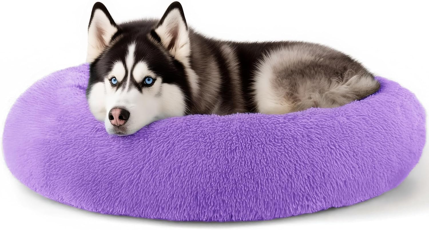 Best Compact Travel Dog Beds for Road Trips (2026)