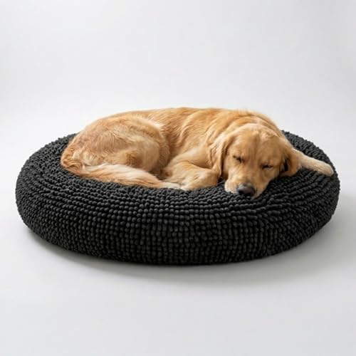 Best Dog Bed Mats for Holiday Guests Who Bring Muddy Pups (2026 Guide)