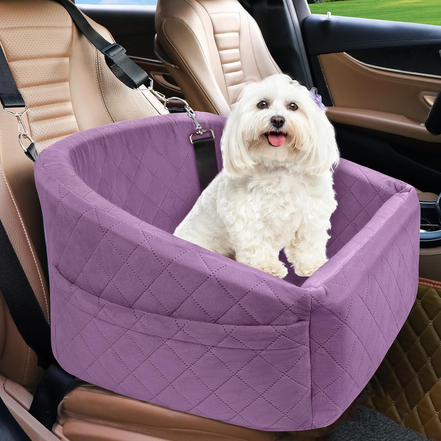 Best Quick-Dry Dog Towels & Mats for Camping (2026)