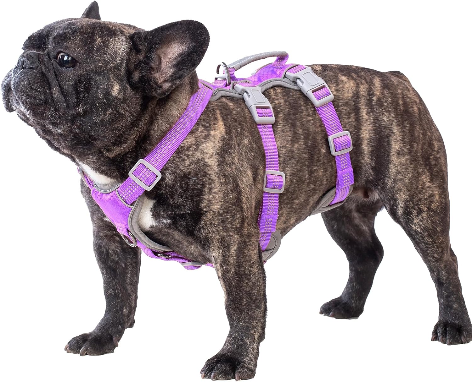 Escape Proof Dog Harness, Escape Artist Harness, Reflective Harness with Padded Handle, Breathable, Adjustable Vest for Medium Dogs Walking, Training, and Running Gear (Lavender Purpled, M)