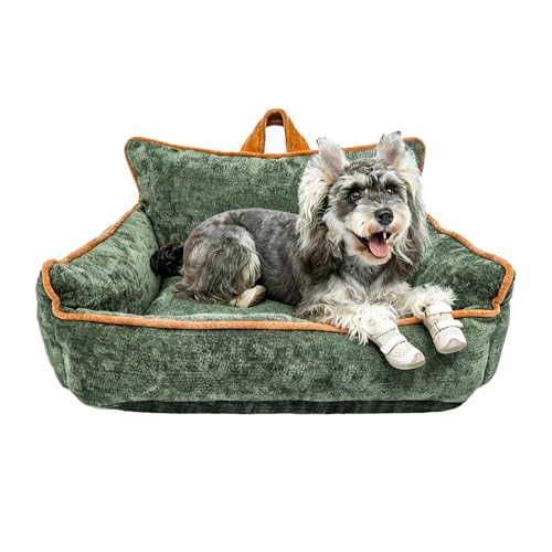 RAFASAFA Small Orthopedic Sofa