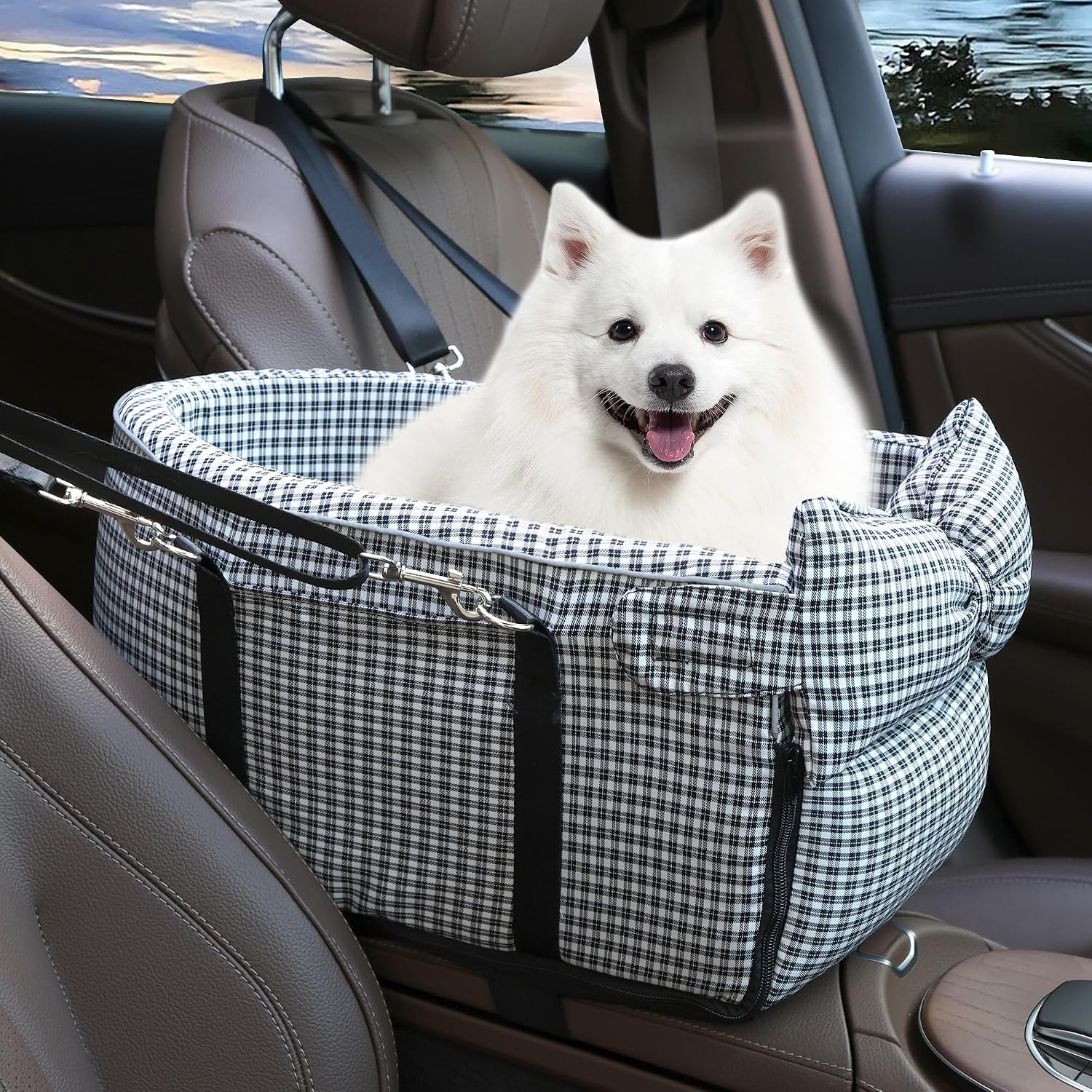Travel Mat vs Packable Bed vs Inflatable: Best Portable Dog Beds for Fall Trips (2026)