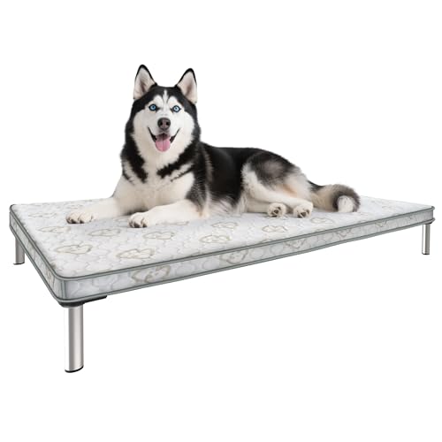 FXW TitanNest Chew-Proof Elevated Dog Bed